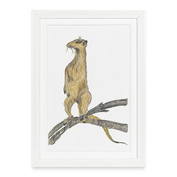Oiseaux fantastiques sur branches - Affiche encadrée (27 × 37 cm) - blanc - Devant