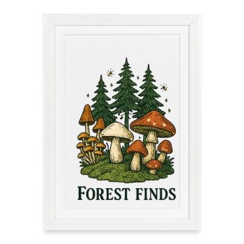 Découvertes en forêt : Scène de champignons dans la forêt de sapins - Affiche encadrée (27 × 37 cm) - blanc - Devant