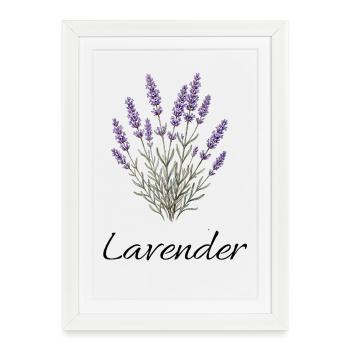 Lavender Dreams – Botanical Vintage Illustration - Framed poster (27 × 37 cm) - white - Front