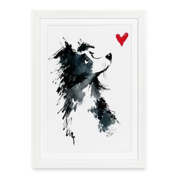 Cadeau de chien en forme d’aquarelle Border Collie - Affiche encadrée (27 × 37 cm) - blanc - Devant