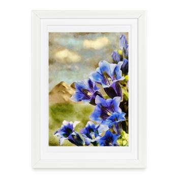 Enzian_DAP_Beliard_8 - Affiche encadrée (27 × 37 cm) - blanc - Devant