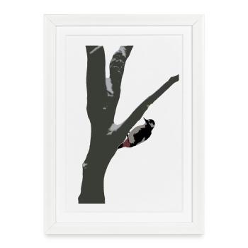 Woodpecker in winter - Framed poster (27 × 37 cm) - white - Front