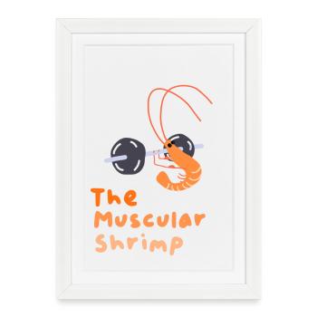 La crevette musclée - Affiche encadrée (27 × 37 cm) - blanc - Devant