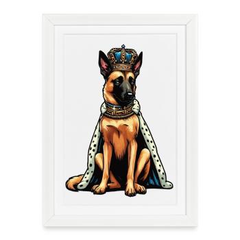 Malinois Belgian Shepherd Malinois Owner - Framed poster (27 × 37 cm) - white - Front