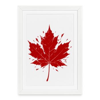 Red Maple Leaf Fragmented - Framed poster (27 × 37 cm) - white - Front