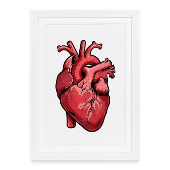 Cœur d’anatomie rouge - Affiche encadrée (27 × 37 cm) - blanc - Devant