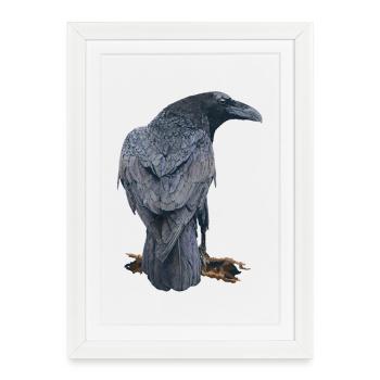 Crow - Framed poster (27 × 37 cm) - white - Front