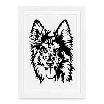 Tiger (old German herding dog) head - Framed poster (27 × 37 cm) - white - Front