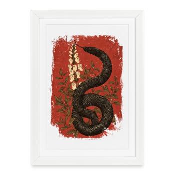 Mystical snake with floral motifs - Framed poster (27 × 37 cm) - white - Front