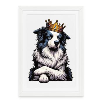 Border Collie Propriétaire Collie Amant de Collie - Affiche encadrée (27 × 37 cm) - blanc - Devant