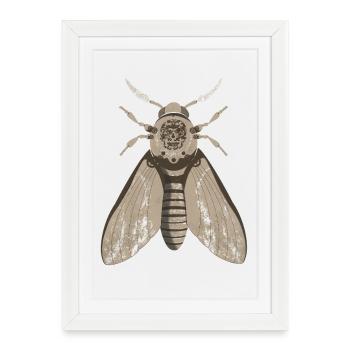 Skull Moth in Steampunk Style - Framed poster (27 × 37 cm) - white - Front