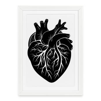 cœur anatomique - Affiche encadrée (27 × 37 cm) - blanc - Devant