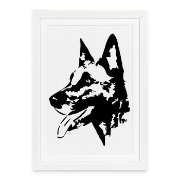 Malinois head - Framed poster (27 × 37 cm) - white - Front