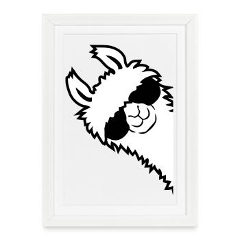 Alpaca looks sideways - Framed poster (27 × 37 cm) - white - Front