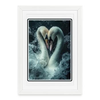 Swans Swan - Framed poster (27 × 37 cm) - white - Front