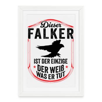 Falconer knows it hawking falconry - Framed poster (27 × 37 cm) - white - Front