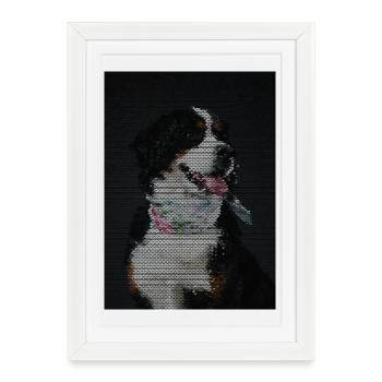 Chien mosaïque avec collier coloré - Affiche encadrée (27 × 37 cm) - blanc - Devant