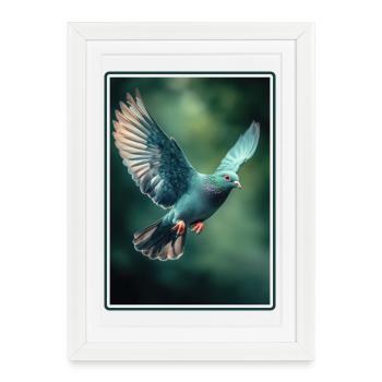 Pigeons Pigeon - Affiche encadrée (27 × 37 cm) - blanc - Devant