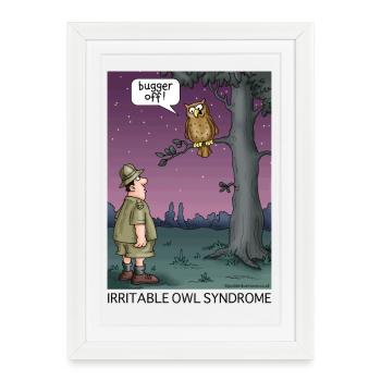 Irritable Owl Syndrome - Framed poster (27 × 37 cm) - white - Front