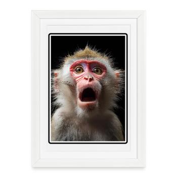 Macaque Macaque - Affiche encadrée (27 × 37 cm) - blanc - Devant