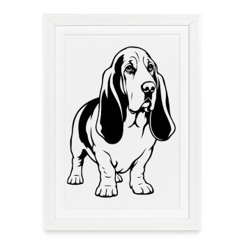 Basset Hound_Hund_stehend_schwarz - Affiche encadrée (27 × 37 cm) - blanc - Devant