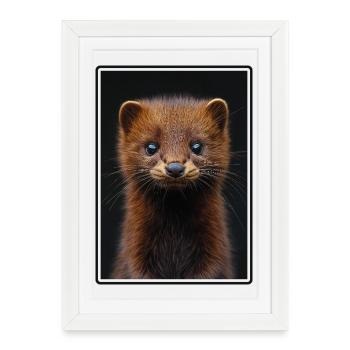 Mink Mink - Affiche encadrée (27 × 37 cm) - blanc - Devant