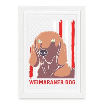 Weimaraner - Framed poster (27 × 37 cm) - white - Front