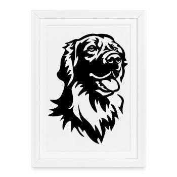Tête de Hovawart - Affiche encadrée (27 × 37 cm) - blanc - Devant