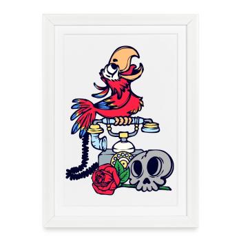 Amoureux Des Animaux, Animal De Compagnie, Zoo, Tropical, Perroquet, Oiseau - Affiche encadrée (27 × 37 cm) - blanc - Devant