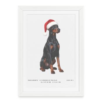 Chien Doberman avec un chapeau de Père Noël - Affiche encadrée (27 × 37 cm) - blanc - Devant