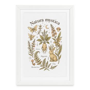 Nature mystérieuse - Natura Mystica - Affiche encadrée (27 × 37 cm) - blanc - Devant
