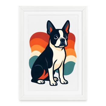Motif de chien Boston terrier coloré - Affiche encadrée (27 × 37 cm) - blanc - Devant