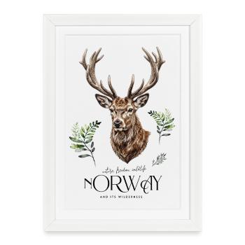 Tête de cerf aux bois sauvage de Norvège - Affiche encadrée (27 × 37 cm) - blanc - Devant