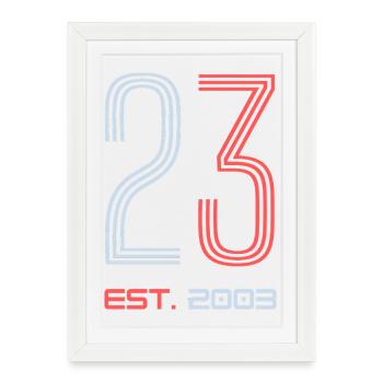 "23 Est. 2003" Birthday Design - Framed poster (27 × 37 cm) - white - Front