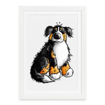 "Bernie" - Bouvier Bernois - Chien - Affiche encadrée (27 × 37 cm) - blanc - Devant