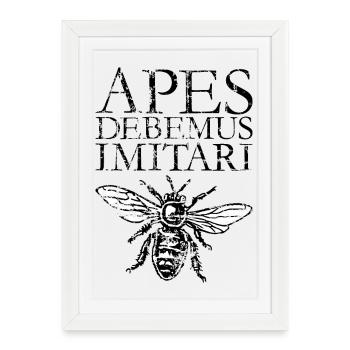 APES DEBEMUS IMITARI Beekeeper Quote Design - Affiche encadrée (27 × 37 cm) - blanc - Devant