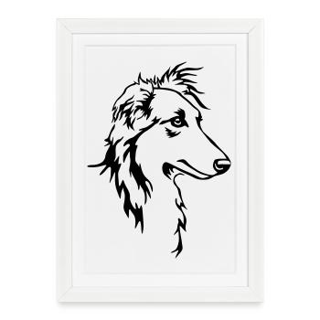 Tête de whippet cheveux longs - Affiche encadrée (27 × 37 cm) - blanc - Devant