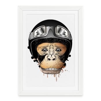 Singe avec casque de moto rétro et lunettes de moto - Affiche encadrée (27 × 37 cm) - blanc - Devant