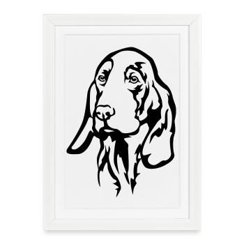 Grand anglo-francais Blanc et Orange Head - Framed poster (27 × 37 cm) - white - Front