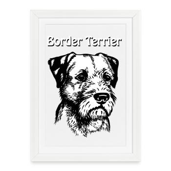 Border Terrier Portrait - Affiche encadrée (27 × 37 cm) - blanc - Devant