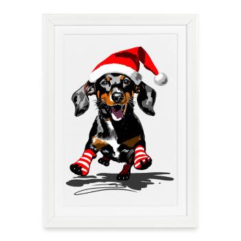 Teckel avec bonnet de Père Noël et chaussettes rayées - Affiche encadrée (27 × 37 cm) - blanc - Devant