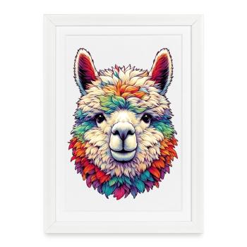 Alpaga - Affiche encadrée (27 × 37 cm) - blanc - Devant