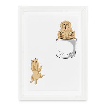 Goldendoodle moelleux en poche - Funny Dog Design - Affiche encadrée (27 × 37 cm) - blanc - Devant