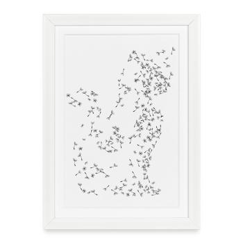 Pissenlit de chat Pissenlit - Affiche encadrée (27 × 37 cm) - blanc - Devant