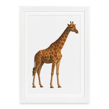 Girafe dans un ton naturel - Affiche encadrée (27 × 37 cm) - blanc - Devant