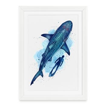 Requin tigre & Plongeur - Affiche encadrée (27 × 37 cm) - blanc - Devant