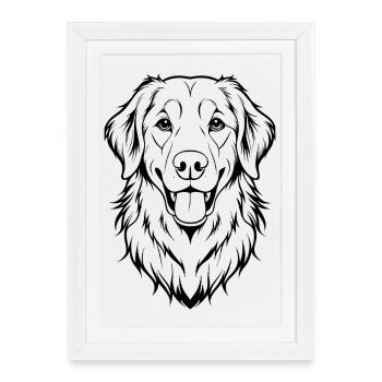 Tête de Golden Retriever - Affiche encadrée (27 × 37 cm) - blanc - Devant