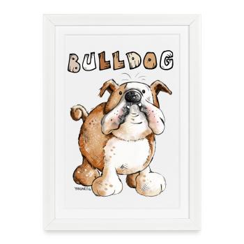 Bulldog anglais - Affiche encadrée (27 × 37 cm) - blanc - Devant