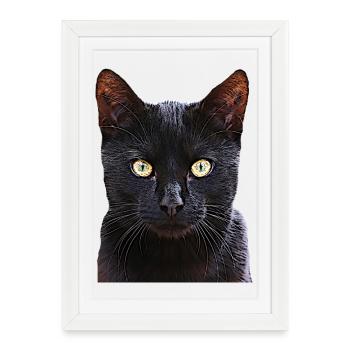 Chat chat cat cats - Affiche encadrée (27 × 37 cm) - blanc - Devant