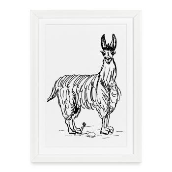 lama - Affiche encadrée (27 × 37 cm) - blanc - Devant